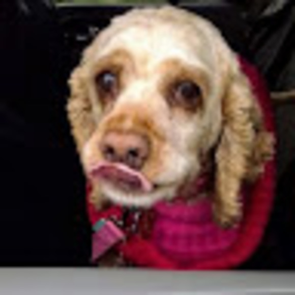 Meet your Posher, Linda - Picture 1 of 1